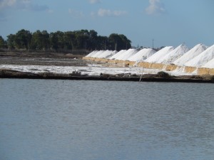 Drying Salt Piles