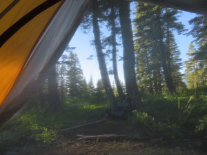 Tent View