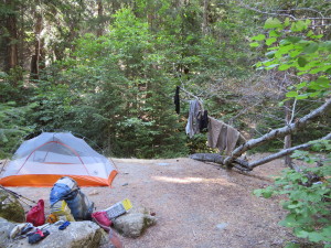 Camp and Clothesline Tree