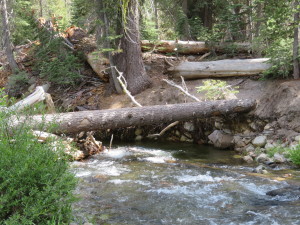 Log Rider Creek
